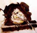 Mésange !